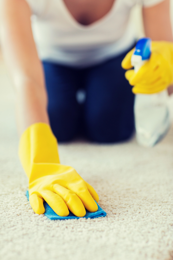 Professional Carpet Cleaning