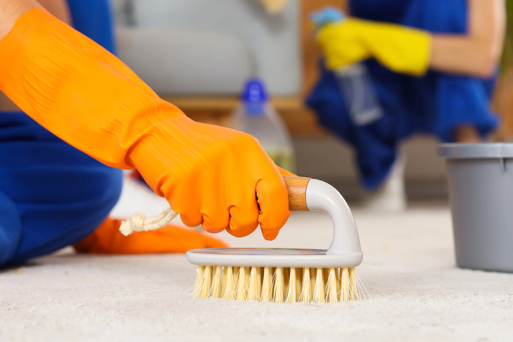 Carpet Cleaning